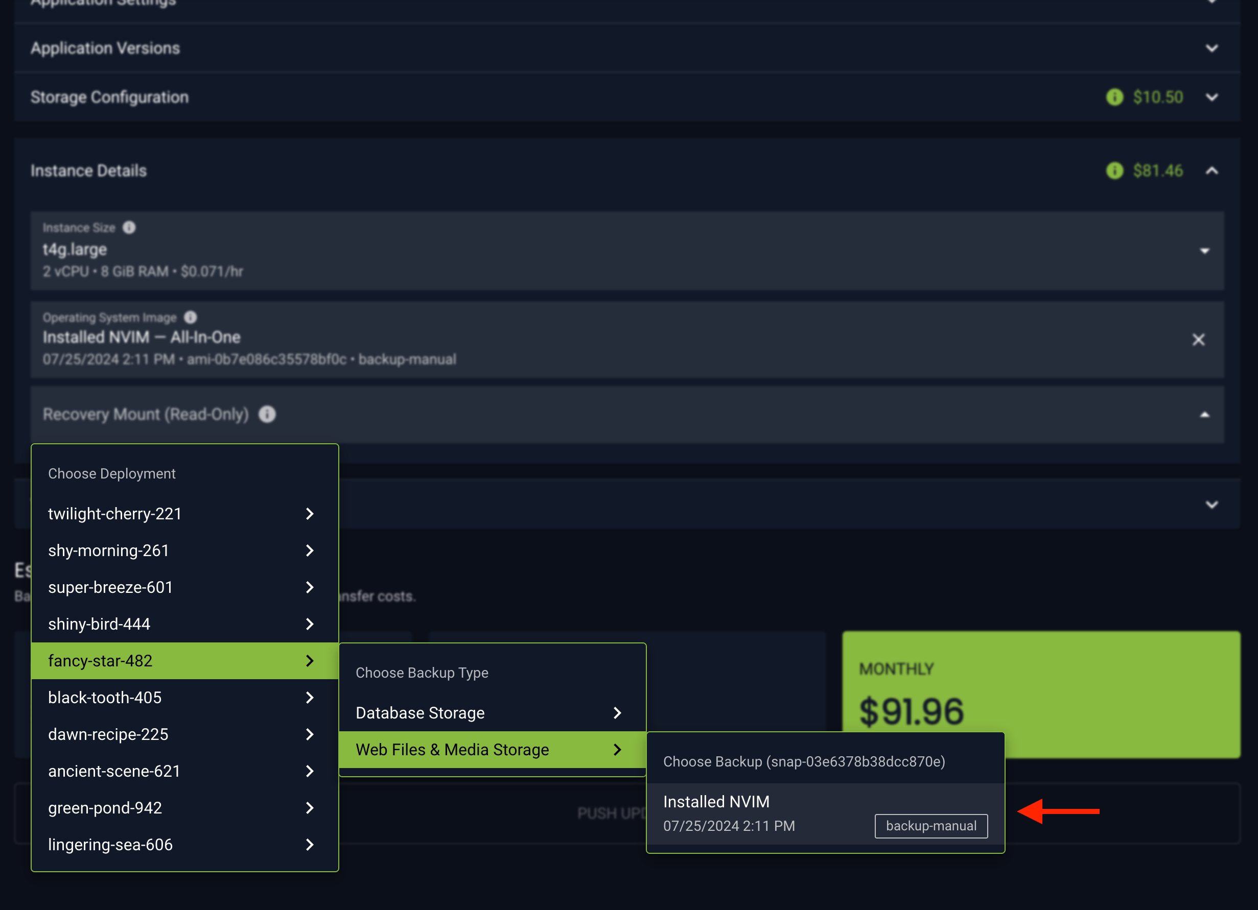 choose-recovery-mount
